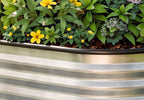 Oval Raised Garden Bed — 6′×2′, 22″ Deep
